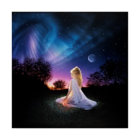 Kirk Reinert 'Evening Wonder' Canvas Art,18x18